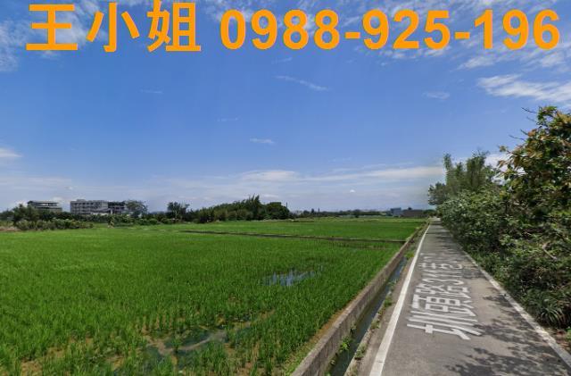 桃園大園農地-0