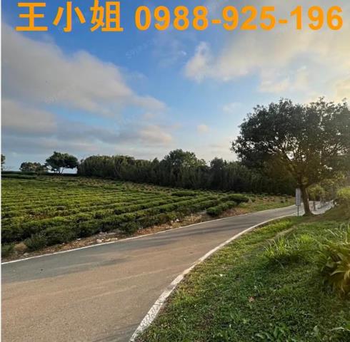桃園龍潭農地-0