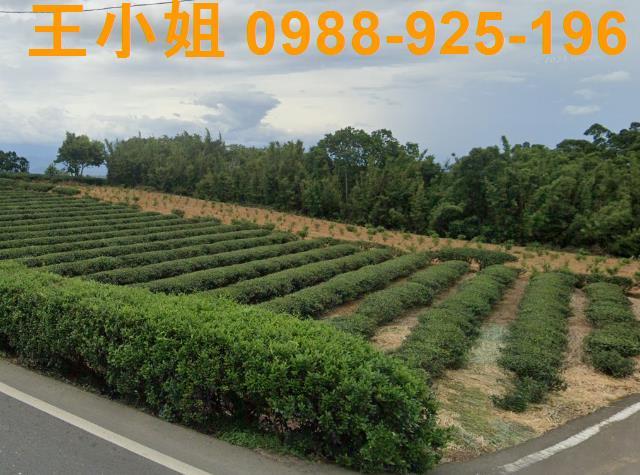 桃園龍潭農地-2