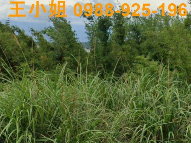 桃園龍潭農地-4