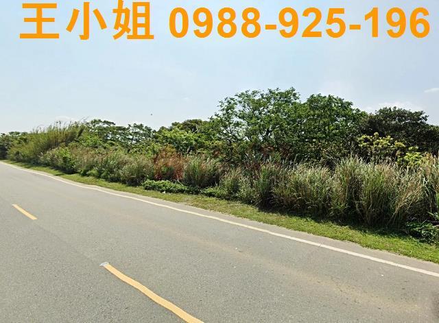 桃園龍潭農地-8