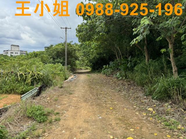 桃園區農地-1
