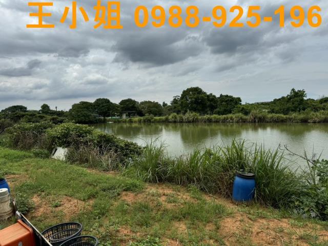 桃園區農地-3