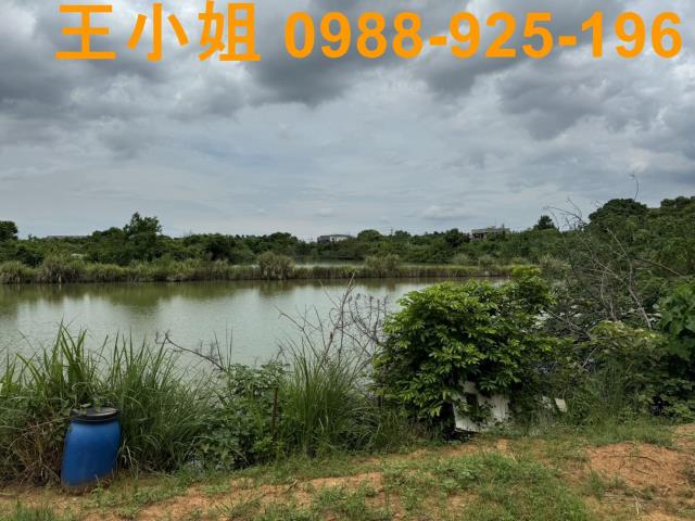 桃園區農地-4
