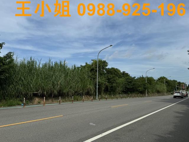 桃園區農地-8