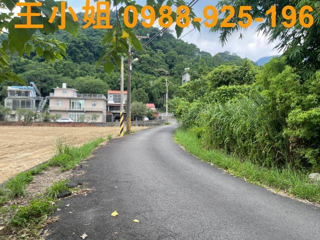 桃園農地-1