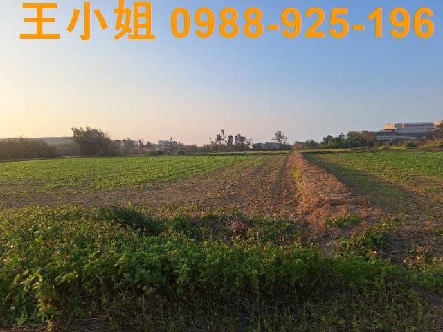 桃園觀音農地-9