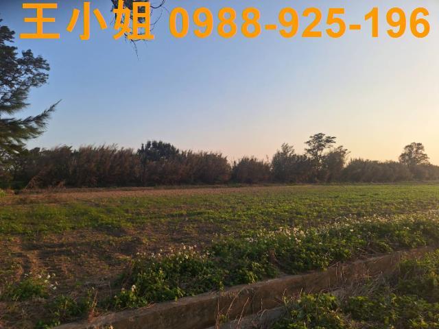 桃園觀音農地-1