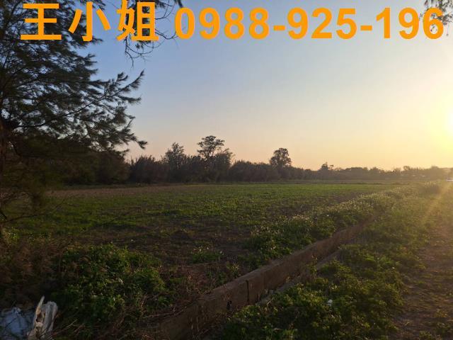 桃園觀音農地-2