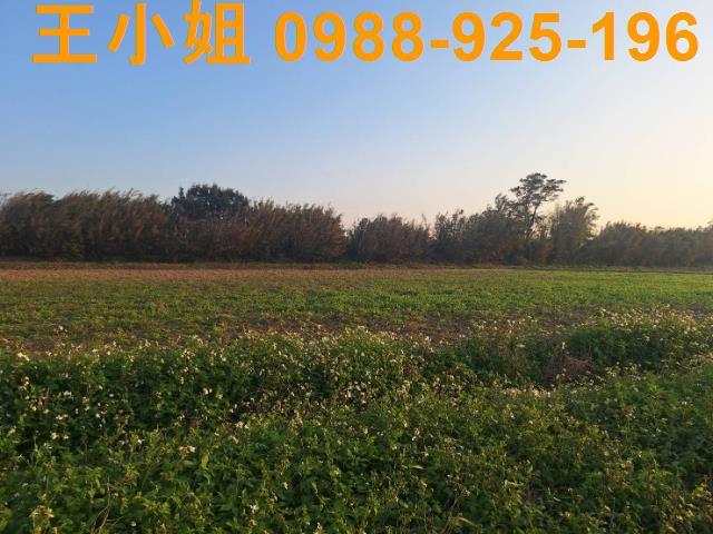 桃園觀音農地-5