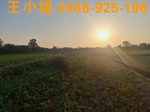 桃園觀音農地-6