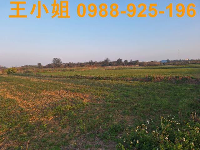 桃園觀音農地-7