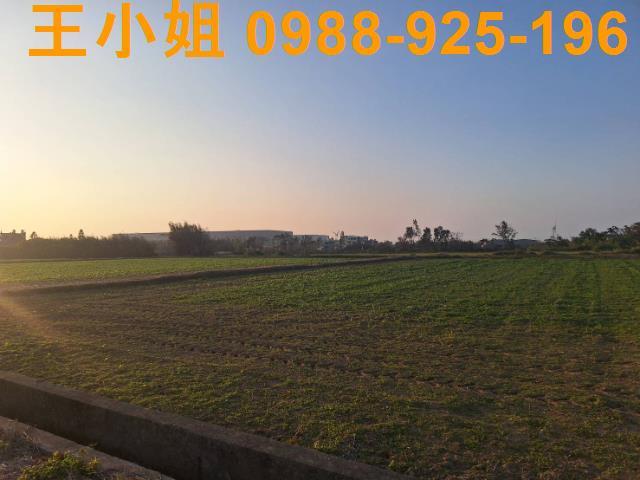 桃園觀音農地-8