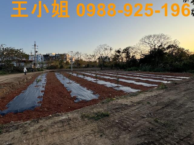 桃園中壢農地-3