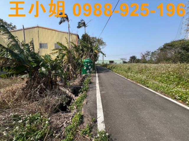 桃園觀音農地-1