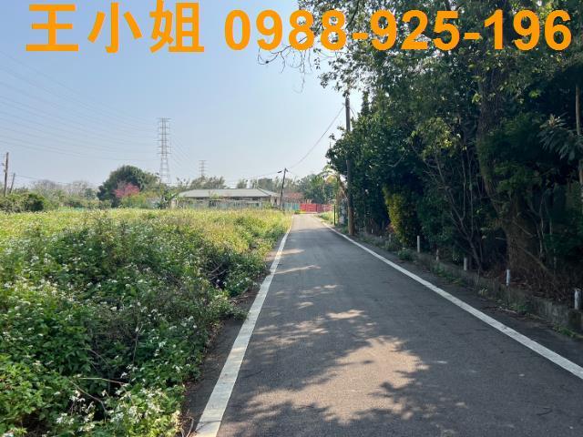 桃園觀音農地-2