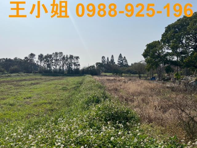 桃園觀音農地-4
