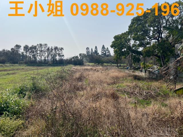 桃園觀音農地-5