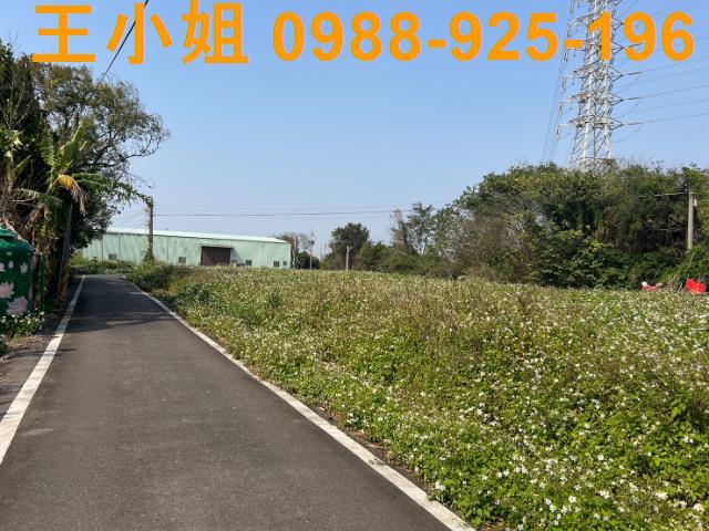 桃園觀音農地-6