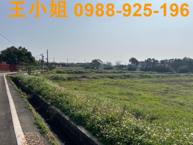 桃園觀音農地-8