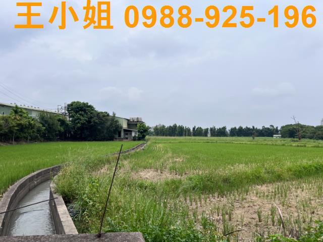 桃園桃園區農地-0