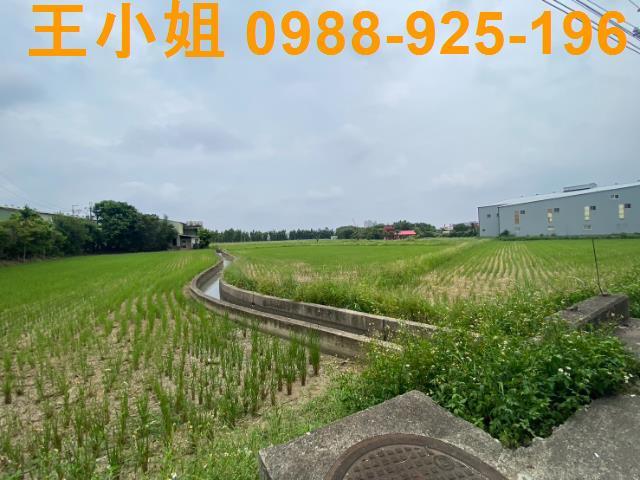 桃園桃園區農地-1