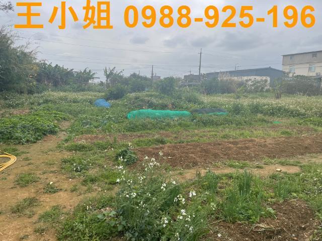 桃園觀音農地-0