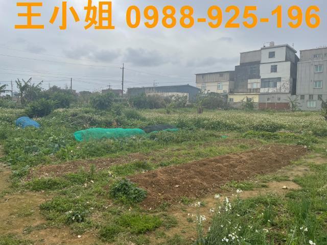 桃園觀音農地-1