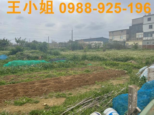 桃園觀音農地-2