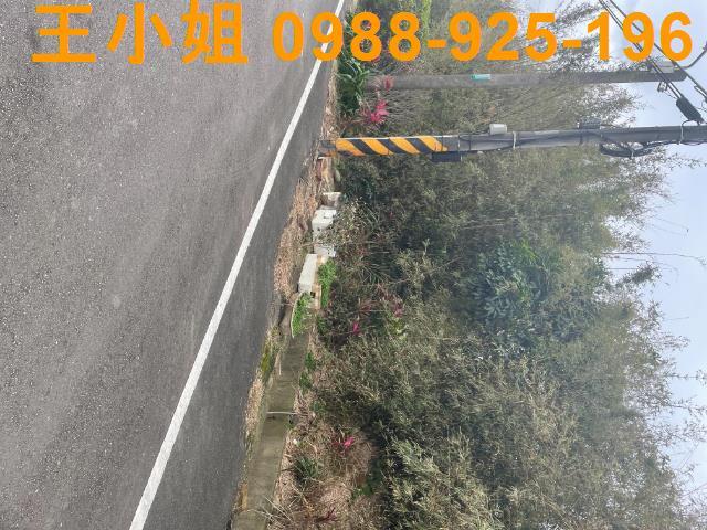 桃園觀音農地-3