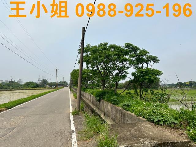 觀音農地-2
