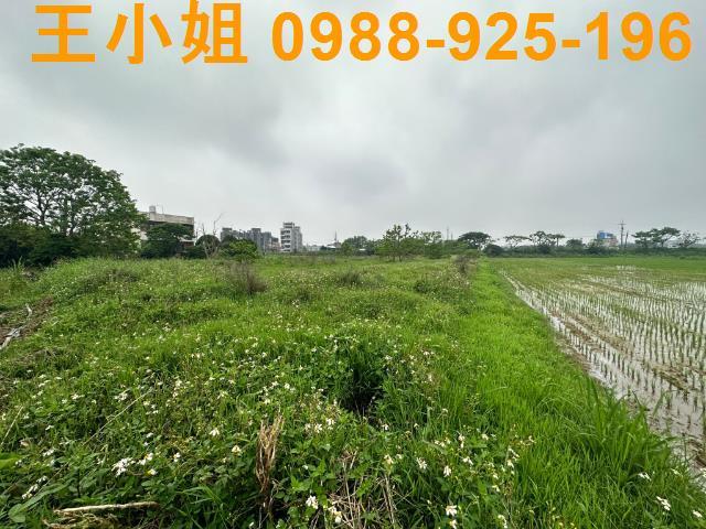 觀音農地-3
