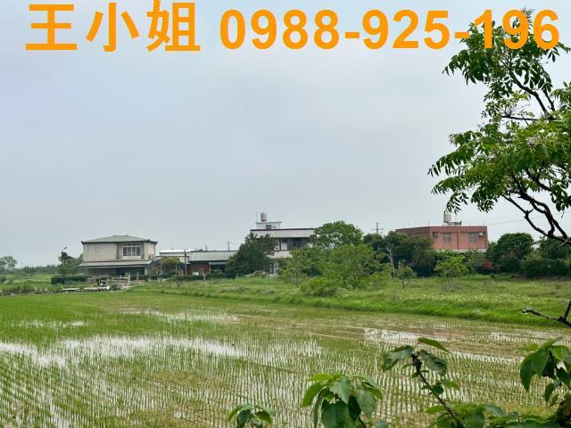 觀音農地-4