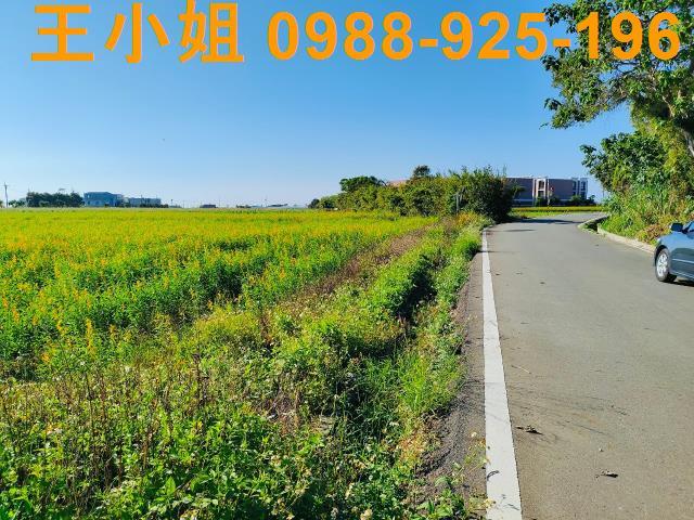 新屋農地-3