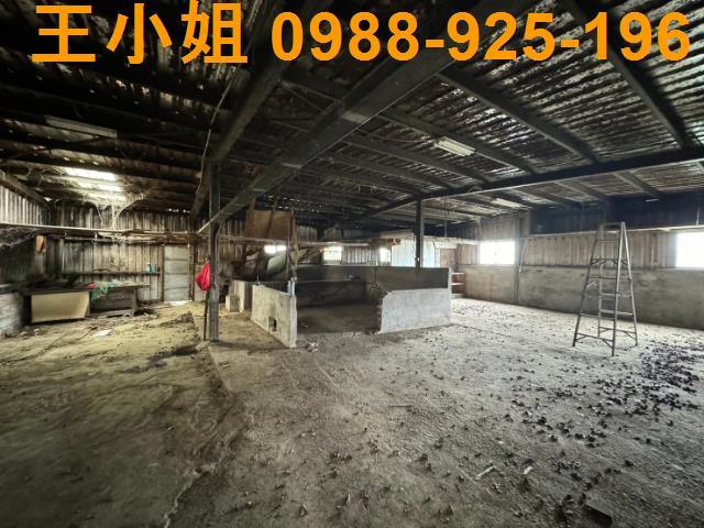 平鎮農地-9