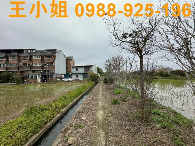 平鎮農地-11