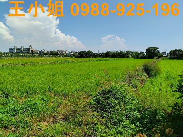 新屋農地-3