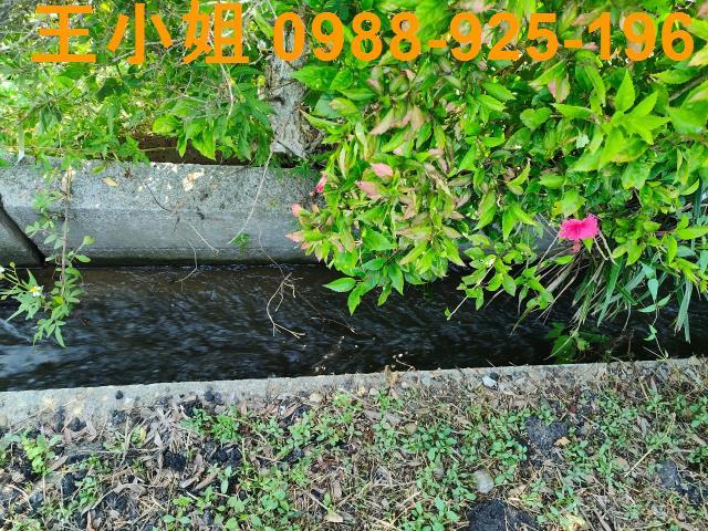 新屋農地-4