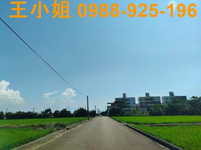 新屋農地-5