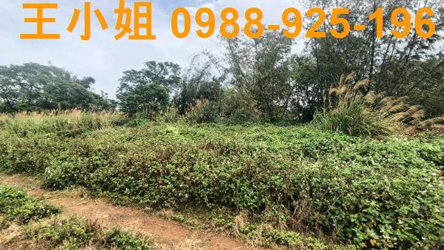 桃園龍潭建地-2