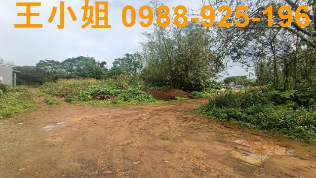 桃園龍潭建地-3