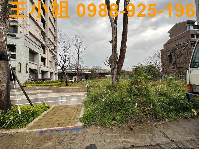 桃園建地-0