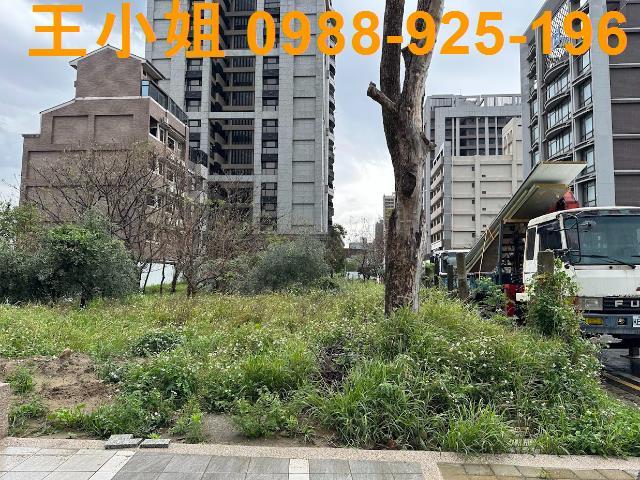 桃園建地-1