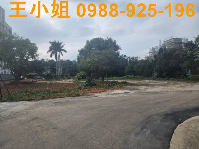桃園龍潭建地-0