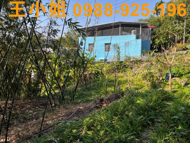 桃園大溪農地-0