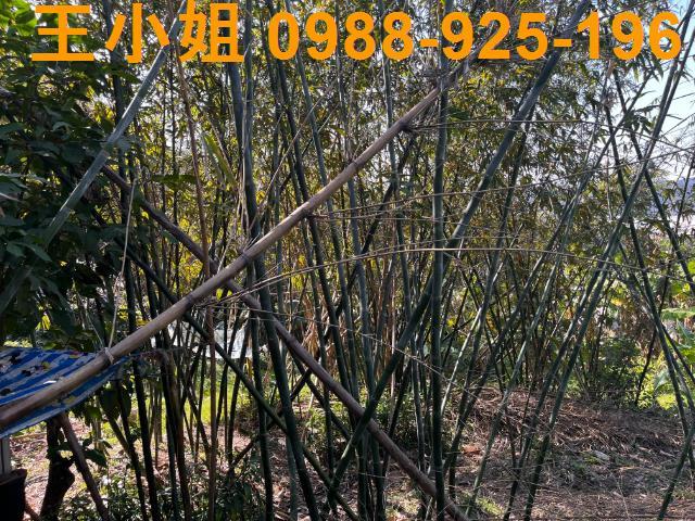 桃園大溪農地-4