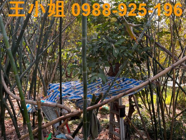 桃園大溪農地-5