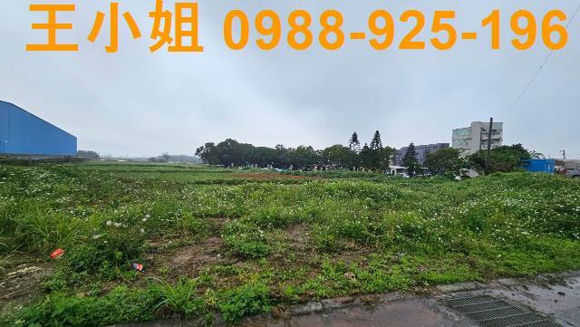 桃園農地-1