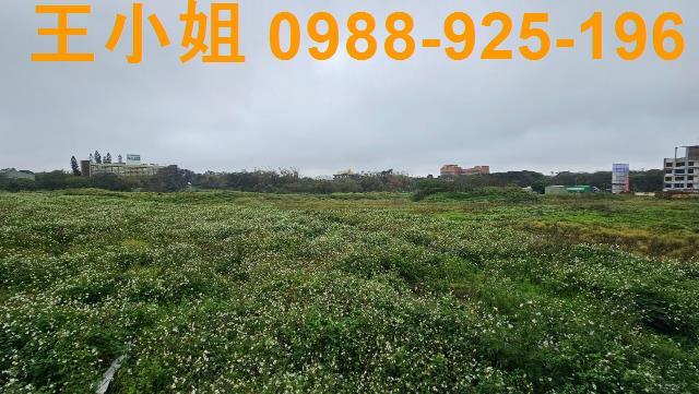 大園農地-0