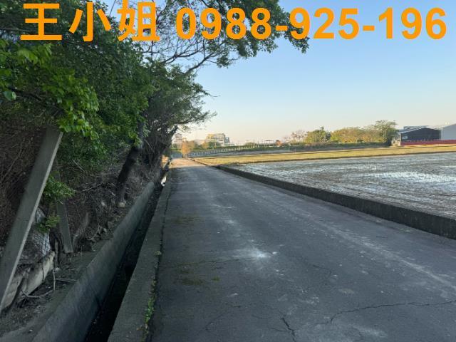 桃園建地-1